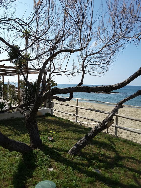 Hotel E Il Faro Acciaroli