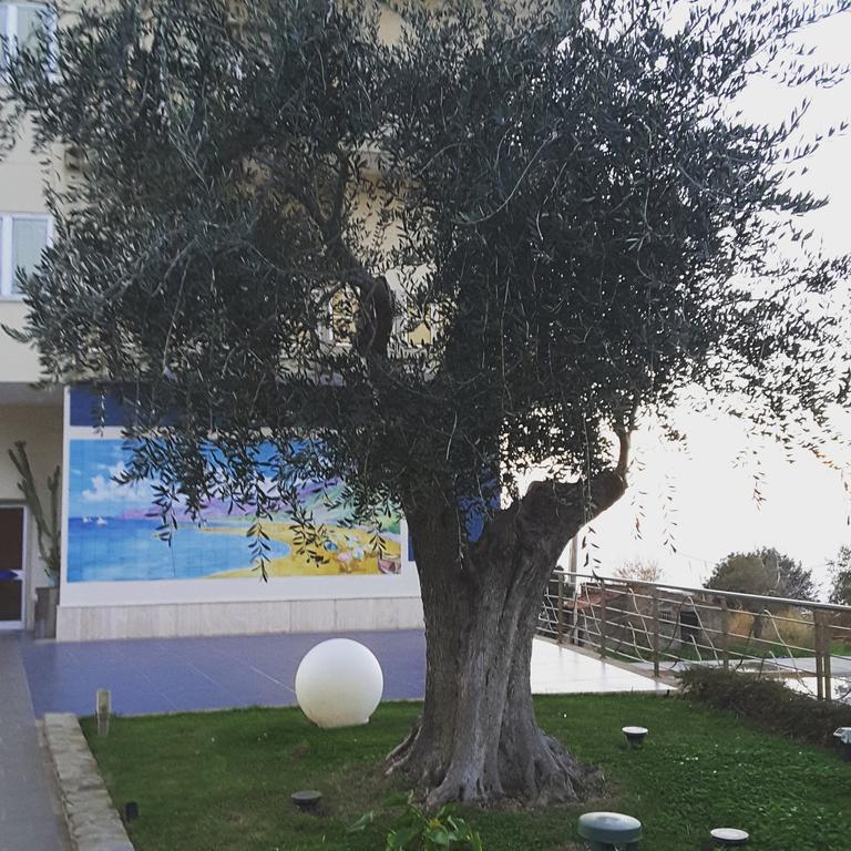 Il Faro Acciaroli
